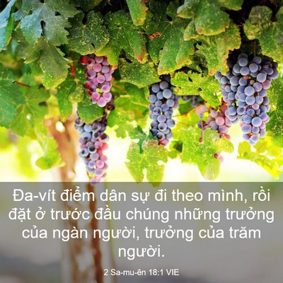 Picture 03 - 2 Sa-mu-ên 18:1 VIE - Đa-vít điểm dân sự đi theo mình, rồi - Bible Verse Picture