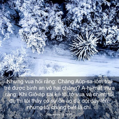 Picture 03 - 2 Sa-mu-ên 18:29 VIE - Nhưng vua hỏi rằng: Chàng Aùp-sa-lôm trai - Bible Verse Picture
