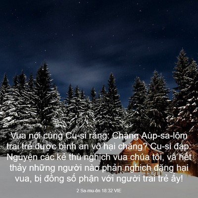 Picture 03 - 2 Sa-mu-ên 18:32 VIE - Vua nói cùng Cu-si rằng: Chàng Aùp-sa-lôm - Bible Verse Picture