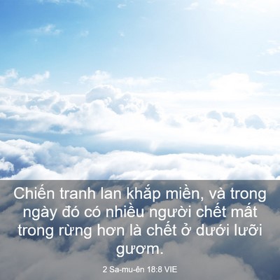 Picture 03 - 2 Sa-mu-ên 18:8 VIE - Chiến tranh lan khắp miền, và trong ngày - Bible Verse Picture