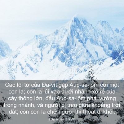 Picture 03 - 2 Sa-mu-ên 18:9 VIE - Các tôi tớ của Đa-vít gặp Aùp-sa-lôm - Bible Verse Picture