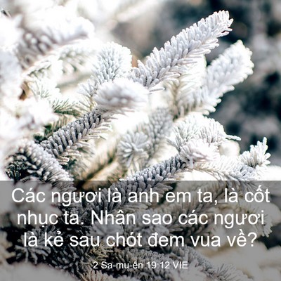 Picture 03 - 2 Sa-mu-ên 19:12 VIE - Các ngươi là anh em ta, là cốt nhục ta. - Bible Verse Picture