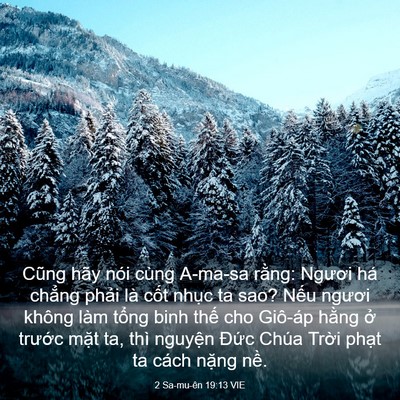 Picture 03 - 2 Sa-mu-ên 19:13 VIE - Cũng hãy nói cùng A-ma-sa rằng: Ngươi há - Bible Verse Picture