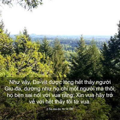 Picture 03 - 2 Sa-mu-ên 19:14 VIE - Như vậy, Đa-vít được lòng hết thảy - Bible Verse Picture