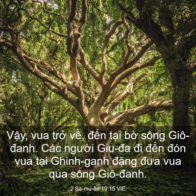 Picture 03 - 2 Sa-mu-ên 19:15 VIE - Vậy, vua trở về, đến tại bờ sông - Bible Verse Picture