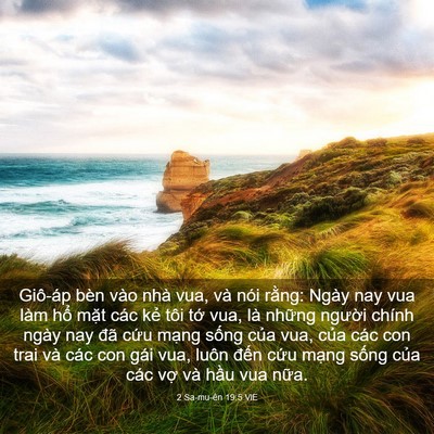 Picture 03 - 2 Sa-mu-ên 19:5 VIE - Giô-áp bèn vào nhà vua, và nói rằng: - Bible Verse Picture