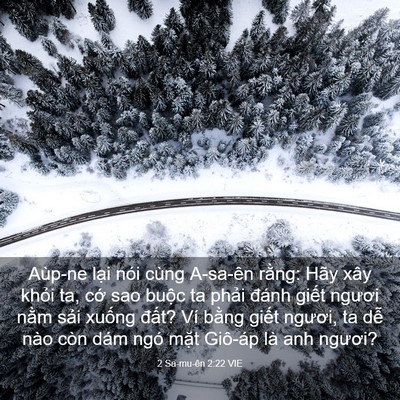 Picture 03 - 2 Sa-mu-ên 2:22 VIE - Aùp-ne lại nói cùng A-sa-ên rằng: Hãy - Bible Verse Picture