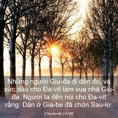 Picture 03 - 2 Sa-mu-ên 2:4 VIE - Những người Giu-đa đi đến đó, và - Bible Verse Picture