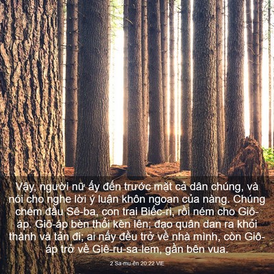 Picture 03 - 2 Sa-mu-ên 20:22 VIE - Vậy, người nữ ấy đến trước mặt - Bible Verse Picture