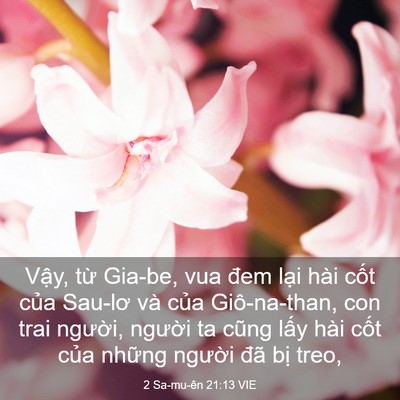 Picture 03 - 2 Sa-mu-ên 21:13 VIE - Vậy, từ Gia-be, vua đem lại hài cốt - Bible Verse Picture