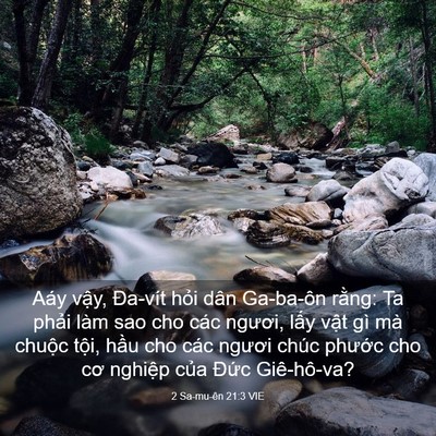 Picture 03 - 2 Sa-mu-ên 21:3 VIE - Aáy vậy, Đa-vít hỏi dân Ga-ba-ôn rằng: - Bible Verse Picture