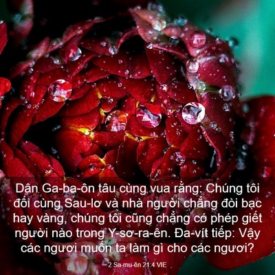 Picture 03 - 2 Sa-mu-ên 21:4 VIE - Dân Ga-ba-ôn tâu cùng vua rằng: Chúng tôi - Bible Verse Picture