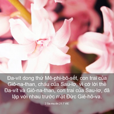 Picture 03 - 2 Sa-mu-ên 21:7 VIE - Đa-vít dong thứ Mê-phi-bô-sết, con trai - Bible Verse Picture