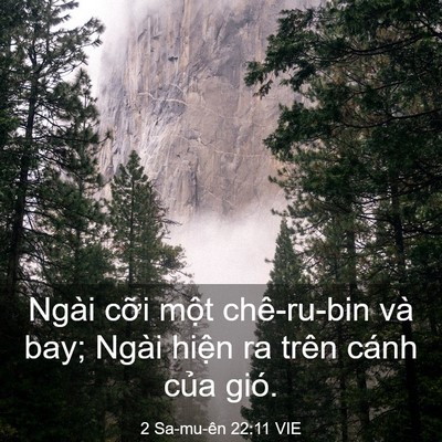 Picture 03 - 2 Sa-mu-ên 22:11 VIE - Ngài cỡi một chê-ru-bin và bay; Ngài - Bible Verse Picture