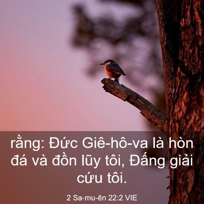 Picture 03 - 2 Sa-mu-ên 22:2 VIE - rằng: Đức Giê-hô-va là hòn đá và - Bible Verse Picture