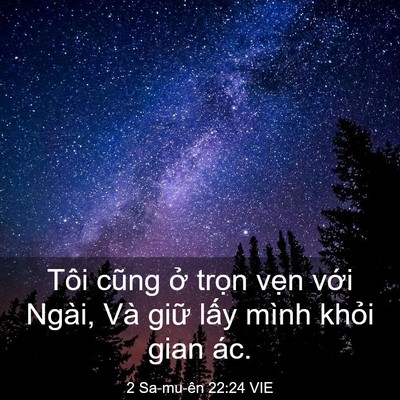 Picture 03 - 2 Sa-mu-ên 22:24 VIE - Tôi cũng ở trọn vẹn với Ngài, Và - Bible Verse Picture