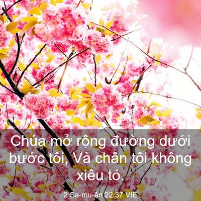 Picture 03 - 2 Sa-mu-ên 22:37 VIE - Chúa mở rộng đường dưới bước tôi, - Bible Verse Picture