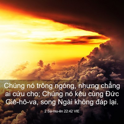 Picture 03 - 2 Sa-mu-ên 22:42 VIE - Chúng nó trông ngóng, nhưng chẳng ai cứu - Bible Verse Picture