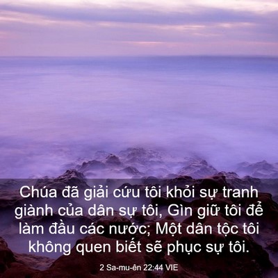 Picture 03 - 2 Sa-mu-ên 22:44 VIE - Chúa đã giải cứu tôi khỏi sự tranh - Bible Verse Picture