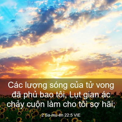 Picture 03 - 2 Sa-mu-ên 22:5 VIE - Các lượng sóng của tử vong đã phủ - Bible Verse Picture