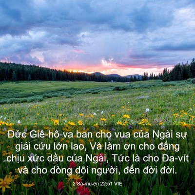 Picture 03 - 2 Sa-mu-ên 22:51 VIE - Đức Giê-hô-va ban cho vua của Ngài sự - Bible Verse Picture