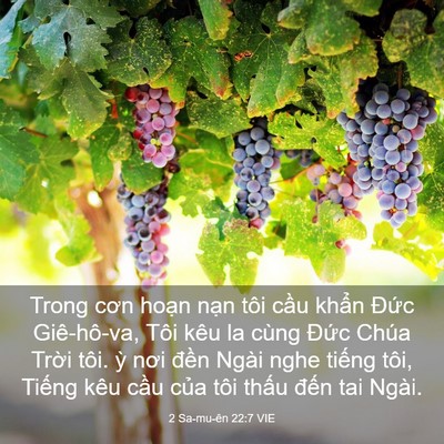 Picture 03 - 2 Sa-mu-ên 22:7 VIE - Trong cơn hoạn nạn tôi cầu khẩn Đức - Bible Verse Picture