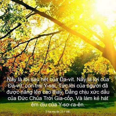 Picture 03 - 2 Sa-mu-ên 23:1 VIE - Nầy là lời sau hết của Đa-vít. Nầy - Bible Verse Picture