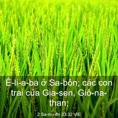 Picture 03 - 2 Sa-mu-ên 23:32 VIE - Ê-li-a-ba ở Sa-bôn; các con trai của - Bible Verse Picture
