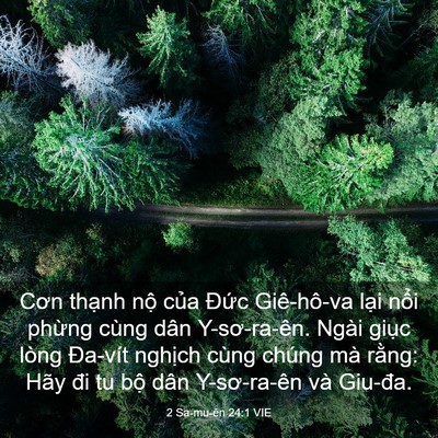Picture 03 - 2 Sa-mu-ên 24:1 VIE - Cơn thạnh nộ của Đức Giê-hô-va lại - Bible Verse Picture