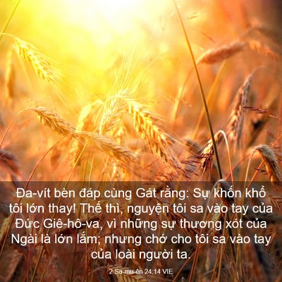 Picture 03 - 2 Sa-mu-ên 24:14 VIE - Đa-vít bèn đáp cùng Gát rằng: Sự - Bible Verse Picture