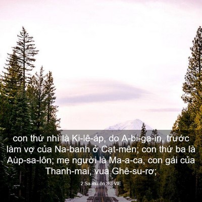 Picture 03 - 2 Sa-mu-ên 3:3 VIE - con thứ nhì là Ki-lê-áp, do A-bi-ga-in, - Bible Verse Picture