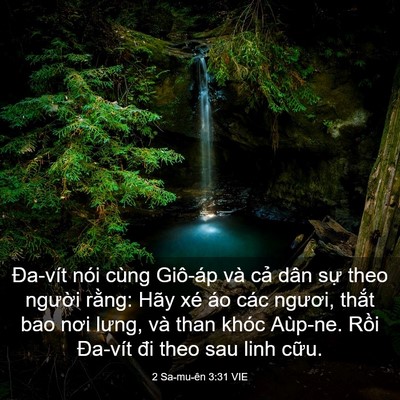 Picture 03 - 2 Sa-mu-ên 3:31 VIE - Đa-vít nói cùng Giô-áp và cả dân sự - Bible Verse Picture