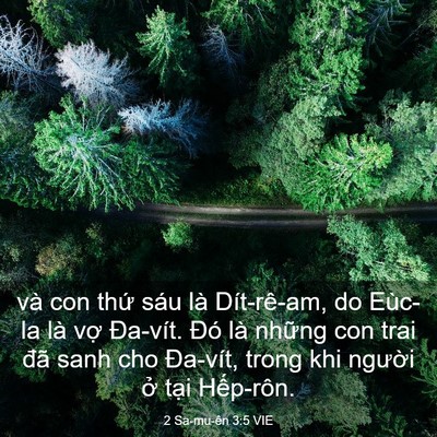 Picture 03 - 2 Sa-mu-ên 3:5 VIE - và con thứ sáu là Dít-rê-am, do Eùc-la - Bible Verse Picture