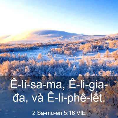 Picture 03 - 2 Sa-mu-ên 5:16 VIE - Ê-li-sa-ma, Ê-li-gia-đa, và - Bible Verse Picture