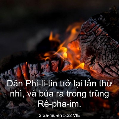 Picture 03 - 2 Sa-mu-ên 5:22 VIE - Dân Phi-li-tin trở lại lần thứ nhì, và - Bible Verse Picture