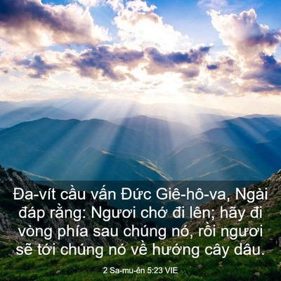Picture 03 - 2 Sa-mu-ên 5:23 VIE - Đa-vít cầu vấn Đức Giê-hô-va, Ngài - Bible Verse Picture