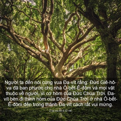 Picture 03 - 2 Sa-mu-ên 6:12 VIE - Người ta đến nói cùng vua Đa-vít - Bible Verse Picture