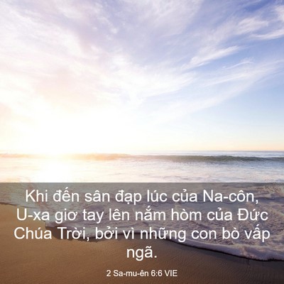 Picture 03 - 2 Sa-mu-ên 6:6 VIE - Khi đến sân đạp lúc của Na-côn, U-xa - Bible Verse Picture