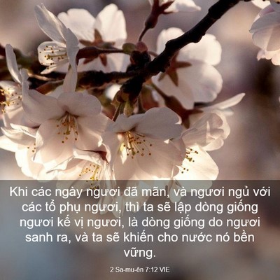 Picture 03 - 2 Sa-mu-ên 7:12 VIE - Khi các ngày ngươi đã mãn, và ngươi - Bible Verse Picture