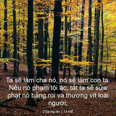 Picture 03 - 2 Sa-mu-ên 7:14 VIE - Ta sẽ làm cha nó, nó sẽ làm con ta. Nếu - Bible Verse Picture
