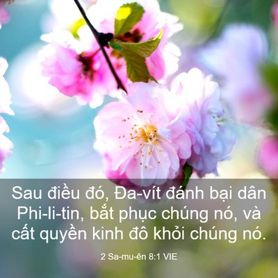 Picture 03 - 2 Sa-mu-ên 8:1 VIE - Sau điều đó, Đa-vít đánh bại dân - Bible Verse Picture