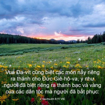 Picture 03 - 2 Sa-mu-ên 8:11 VIE - Vua Đa-vít cũng biệt các món nầy riêng - Bible Verse Picture