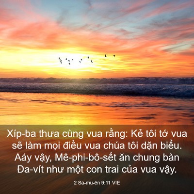 Picture 03 - 2 Sa-mu-ên 9:11 VIE - Xíp-ba thưa cùng vua rằng: Kẻ tôi tớ - Bible Verse Picture