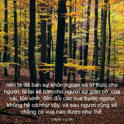 Picture 03 - 2 Sử Ký 1:12 VIE - nên ta đã ban sự khôn ngoan và tri thức - Bible Verse Picture