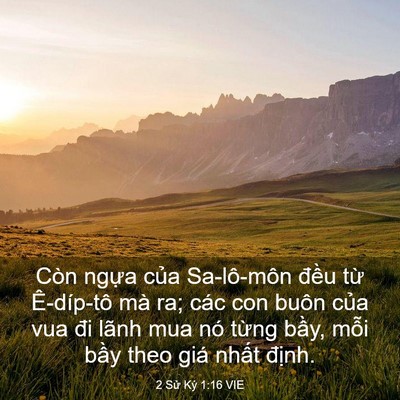Picture 03 - 2 Sử Ký 1:16 VIE - Còn ngựa của Sa-lô-môn đều từ - Bible Verse Picture