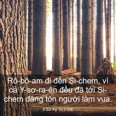 Picture 03 - 2 Sử Ký 10:1 VIE - Rô-bô-am đi đến Si-chem, vì cả - Bible Verse Picture