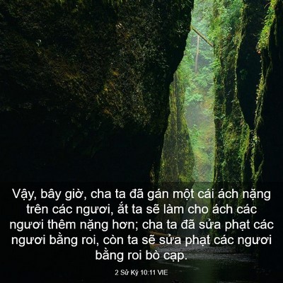Picture 03 - 2 Sử Ký 10:11 VIE - Vậy, bây giờ, cha ta đã gán một cái - Bible Verse Picture