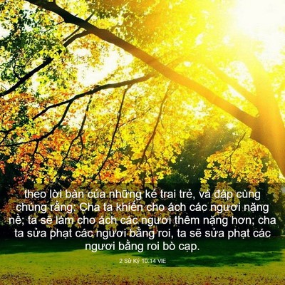 Picture 03 - 2 Sử Ký 10:14 VIE - theo lời bàn của những kẻ trai trẻ, - Bible Verse Picture