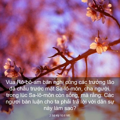 Picture 03 - 2 Sử Ký 10:6 VIE - Vua Rô-bô-am bàn nghị cùng các trưởng - Bible Verse Picture