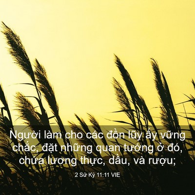 Picture 03 - 2 Sử Ký 11:11 VIE - Người làm cho các đồn lũy ấy vững - Bible Verse Picture